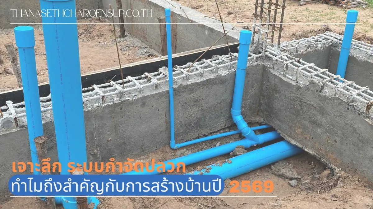 เจาะลึก ระบบกำจัดปลวก ทำไมถึงสำคัญกับการสร้างบ้านปี 2569