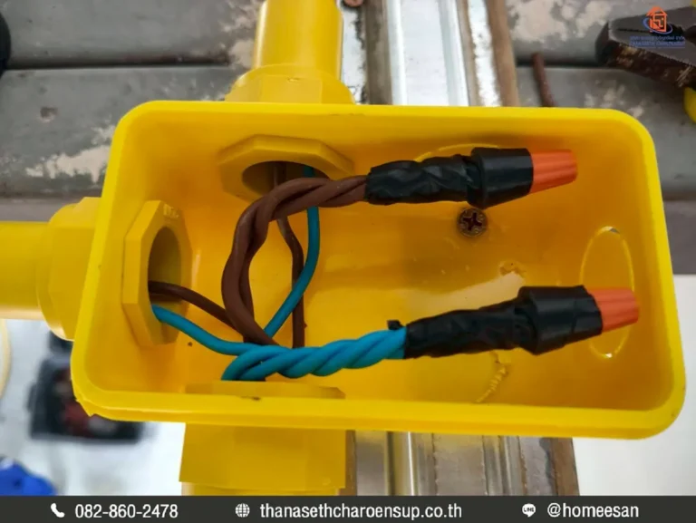 646119965_1391656999643234_5518388442870562276_n 1